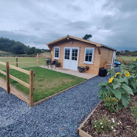 Bumble Bee Cabin Bootle  Esterno foto